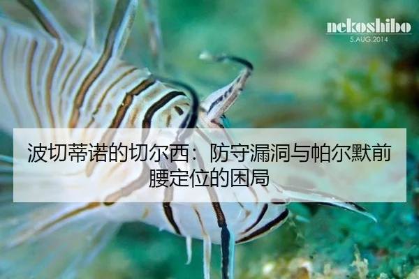 bo-qie-di-nuo-de-qie-er-xi-fang-shou-lou-dong-yu-pa-er-mo-qian-yao-ding-wei-de-kun-ju-3-867.jpg